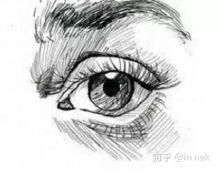 ../_images/%E7%9C%BC%E7%9D%9B%E7%B4%A0%E6%8F%8F.jpg